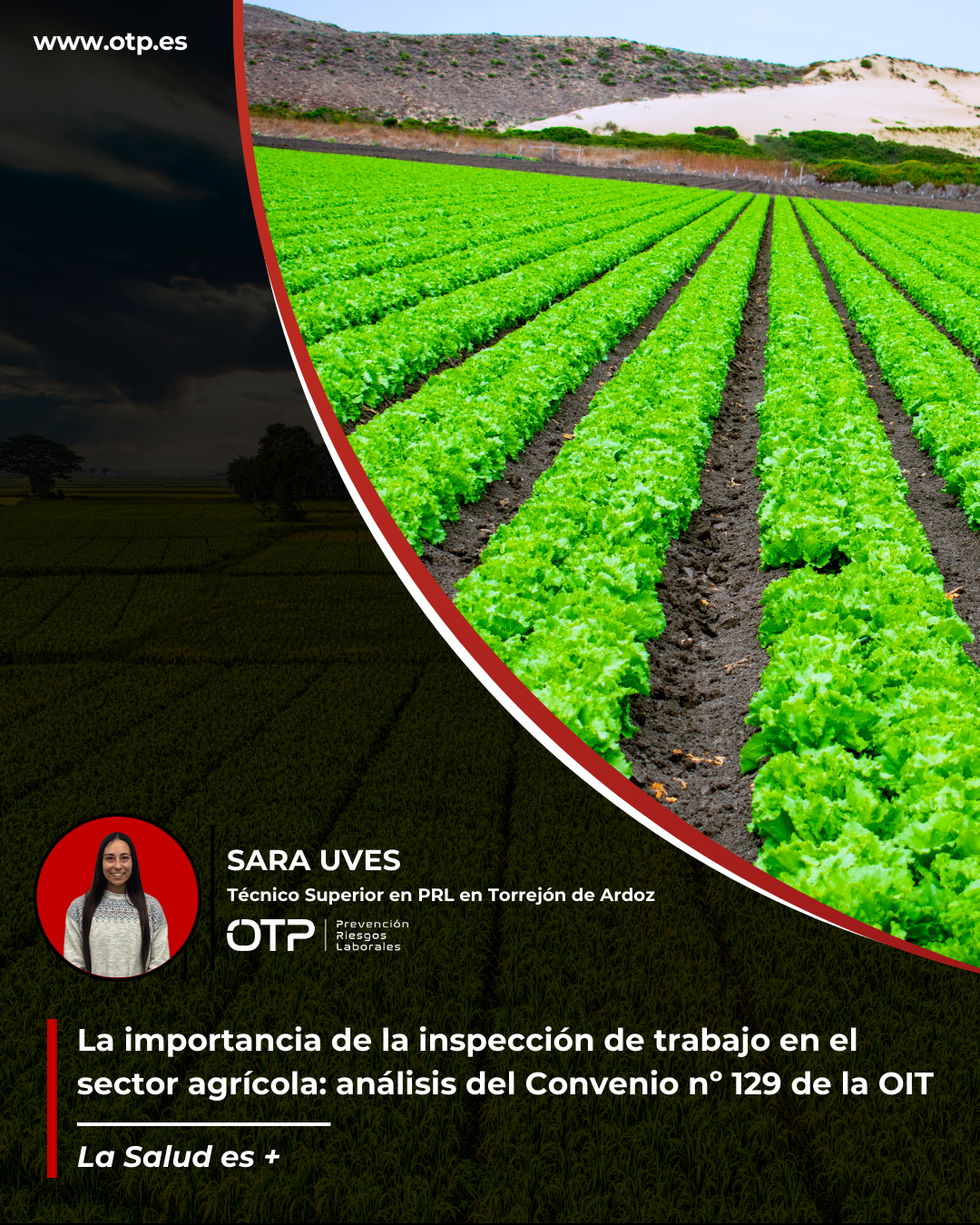 La importancia de la inspección de trabajo en el sector agrícola: análisis del Convenio nº 129 de la OIT